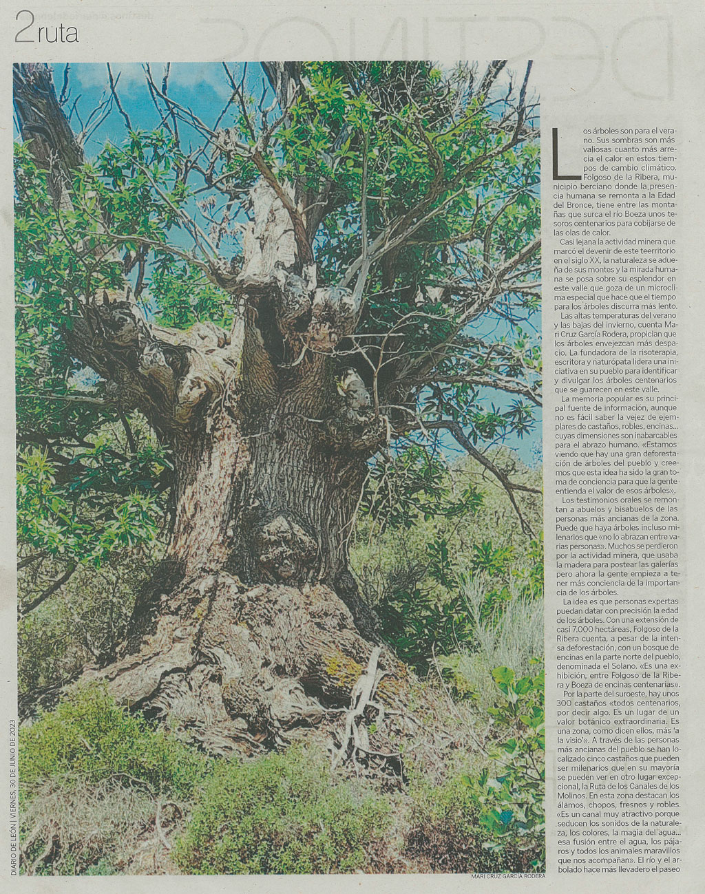 Reportaje en diario de León